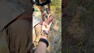 Download lagu Yang lagi viral penemuan sosok jenglot di dam pare mondokan sragen. mp3