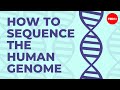 How To Sequence The Human Genome Mark J Kiel