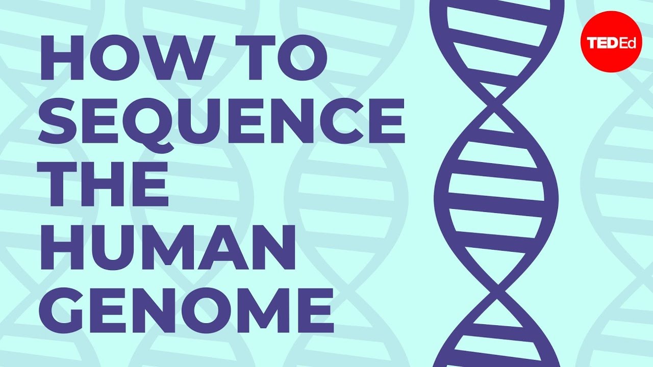 A Crash Course In How Genomes Are Sequenced
