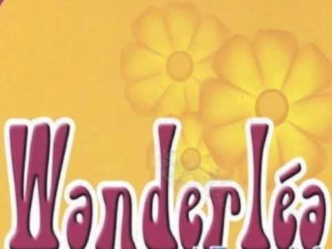 WANDERLEA  Mané joão (fast)