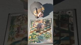 An old vid that needs some love #pokemon #pokemoncards #pokemontcg #pokemonvideos #pokemoncommunity