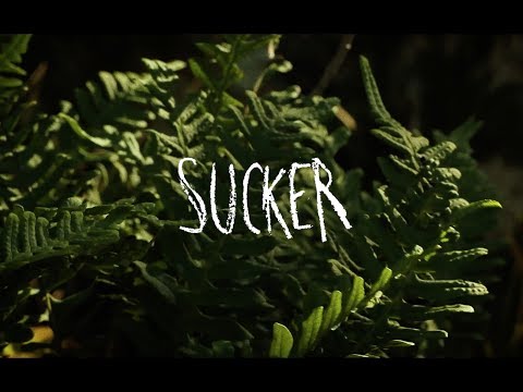 Grapell - Sucker (Official Music Video)