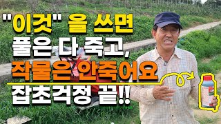 이걸로 풀 잡초 다 죽여요 풀 걱정 끝,  잡초제거방법 텃밭농사