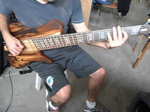 teste S.Martyn Freedom fanned 6 cordas