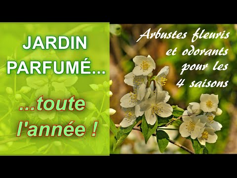 , title : 'Arbustes fleuris et parfumés pour les 4 saisons :  un jardin odorant toute l'année !'