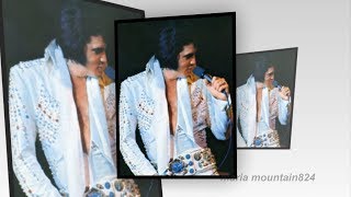 Elvis Presley  - Loving Arms ( take 2 )