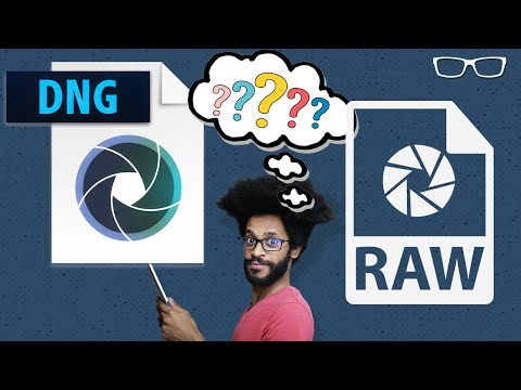 DNG vs RAW, which one should you use?