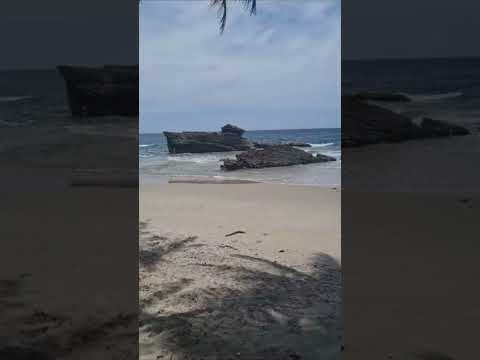 You Must Experience Yarra Beach, Blanchisseuse, Trinidad.