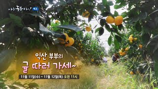 [나는 농부다 예고] 익산 부부의 귤 따러 가세~