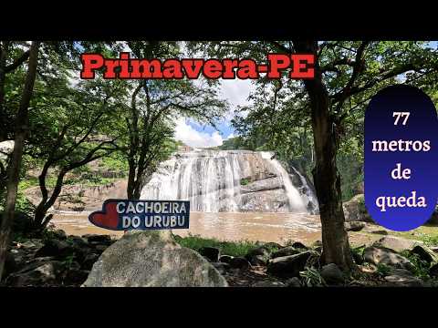 PRIMAVERA PE CACHOEIRA DO URUBU