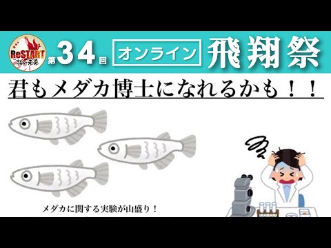 君もメダカ博士になれるかも？！