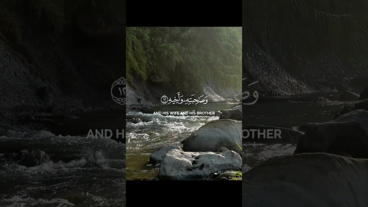 تلاوه جميله للشيخ محمد اللحيدان من ﴿سورة المعارج، الآية ٥﴾ #قرآن #قران_كريم #مصحف