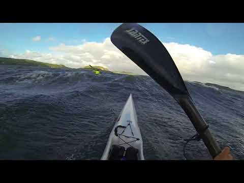 Welcome to the Bestcoast