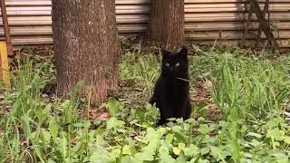 swimming  - teen suicide