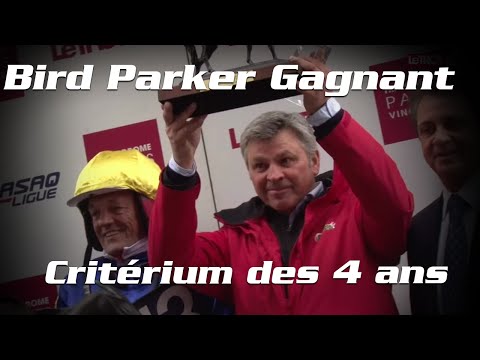 Critérium des 4 Ans 2015 : Bird Parker couronné