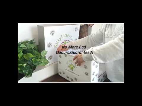 The Best Cat Litter Box! - Kitty Litter Box, Organic & Odour Free!