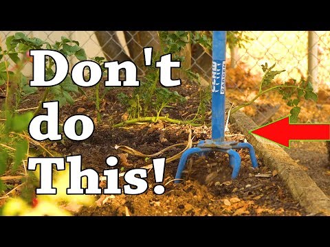 5 Benefits of No Dig Gardening