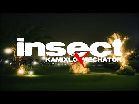 Kamixlo ft. Mechatok — Insect