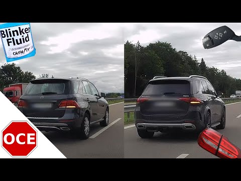 Daily Observations 215 [Dashcam Europe]