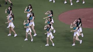 【台湾チア】6隊啦啦隊開場舞 #明星賽 2024 第二天　#台湾チア #cheerleader