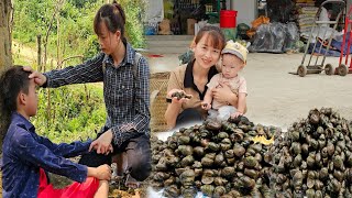Daily life of mother and son. Ly Tam Ca❤️❤️Catch snails and go to the market to sell