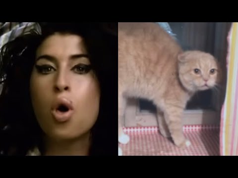 “Rehab” By Amy Winehouse But Sung By a Russian Cat