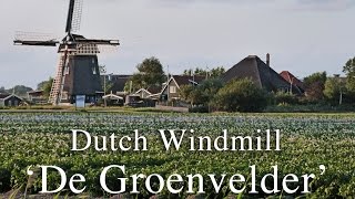 dutch windmill de groenvelder
