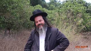 "המתופף שמנגן עם ה"גדולים" מגלה לנו את סוד ההצלחה והחיים... "אלון יופה לב של יהודי פרק 2