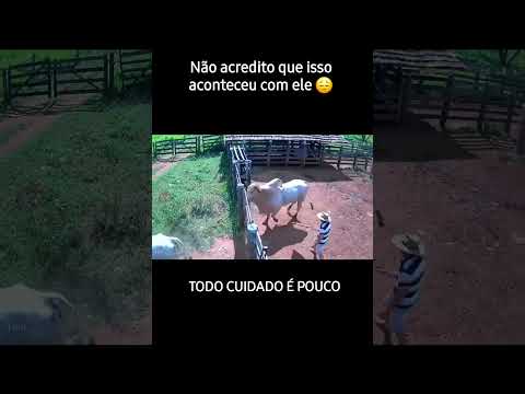 Touro Cagou no Próprio Dono! 😂🐂💩