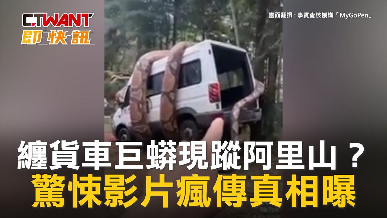 圖說-阿里山現纏貨車巨蟒？　驚悚影片瘋傳真相曝