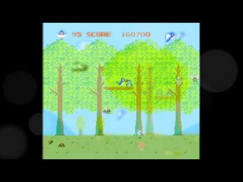 Videogame Music Remixes/Bird Week - Spring Stages