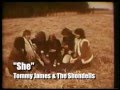Tommy James and the Shondells - She (Promo w/Stereo)