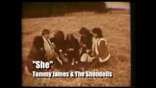 Tommy James and the Shondells - She (Promo w/Stereo)