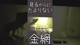 【リトルナイトメア へなちょこ切り抜き】突然始まるシンキングターイム！！【#shorts】 #リトルナイトメア   #littlenightmares  #へなちょこ実況ツアー #へなちょこ颯