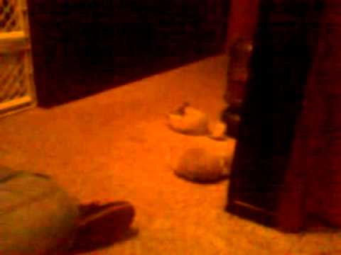 Chinni wasnt done with bath