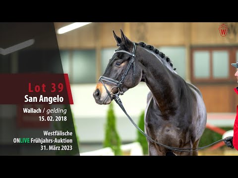 ONLIVE Frühjahrs-Auktion Lot 39 San Angelo Wallach v. Sandro Hit - Florestan I