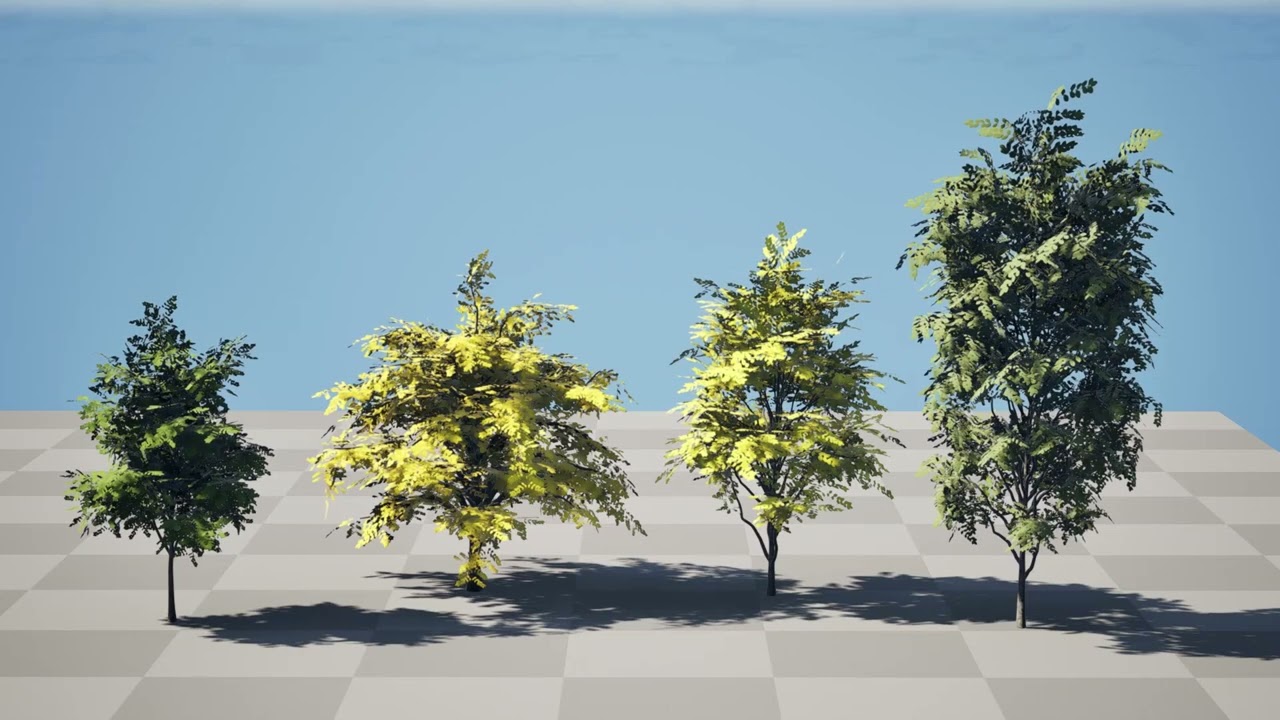 North American Kentucky Coffeetree Collection 3D Model