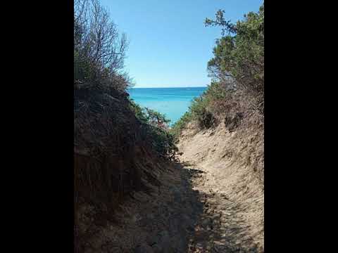 DEEP HOUSE BY FABIODEEJAY 03.12.2021