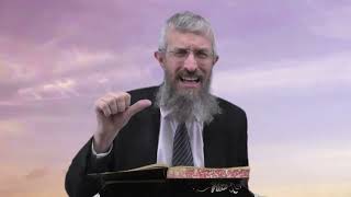מסכת עבודה זרה דף נב - 8 דקות של לומדות ועמקות בדרך הלימוד הישיבתית [Avodah Zarah 52]