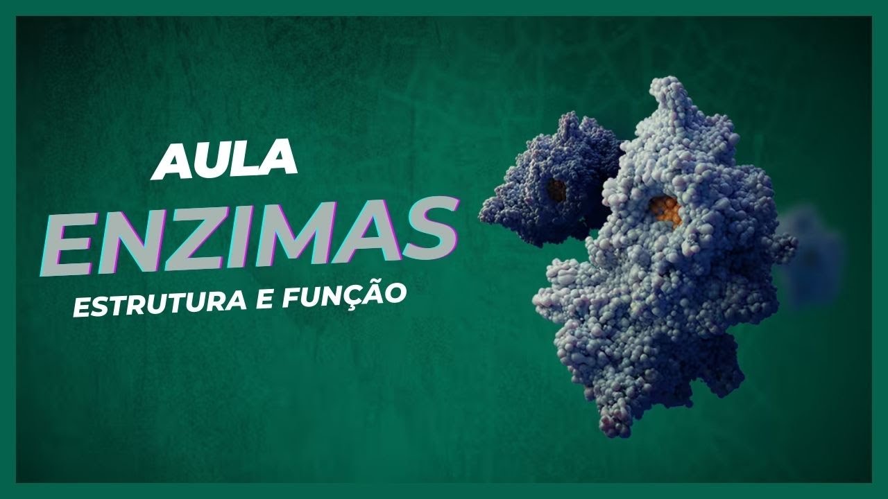 ENZIMAS - Estrutura e Funções