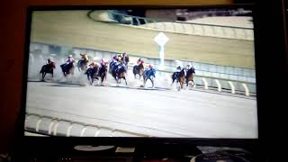 後藤アフレコフェブラリーステークス実況