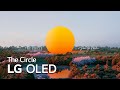 LG OLED : The Circle 4K 60fps | LG