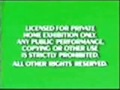 Green FBI Screens 1984 1991 FAKE