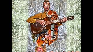 Shannon & The Clams - Sleep Talk LP (full)