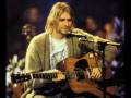 Tribute to Kurt Cobain (Dave Grohl - Friend of a ...