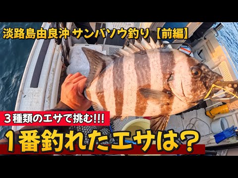 [Sambasou] What is the food preferred by this incredibly delicious fish? Tested with 3 types