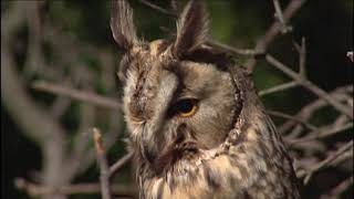 TERMÉSZETVÉDELMI KÖRKÉP 