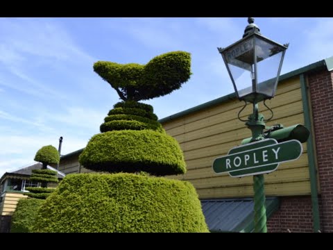 The Watercress Line: More Than Just a Train Ride!