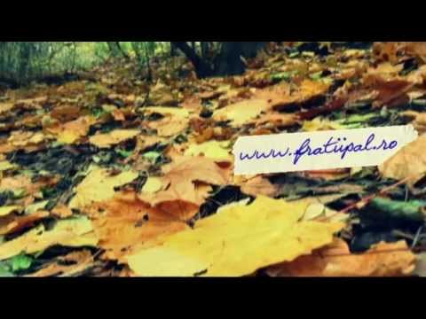 FLORIN PAL - Tu omule...