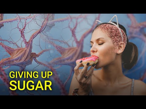 What happens to your brain when you give up sugar?